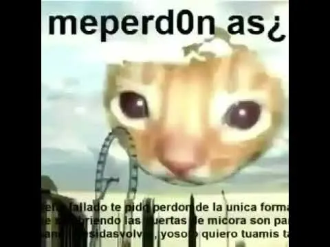 Momentos pequeños y bonitos