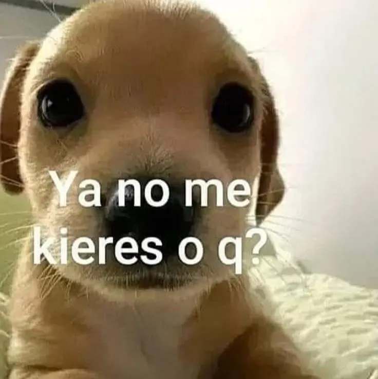 Las cartas que nunca me atrevo a escribir